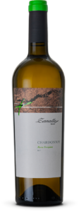 Chardonnay - Zanatta Roberto